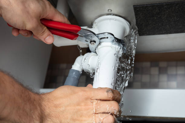 Best Local water damage restoration  in Tremont, PA
