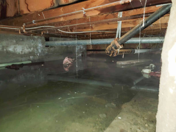 Best Fire Damage Restoration  in Tremont, PA